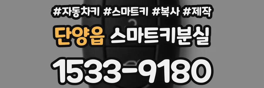 단양읍 스마트키분실