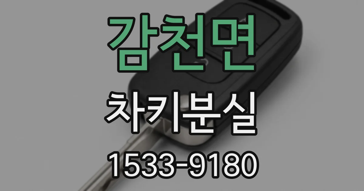 감천면 차키분실