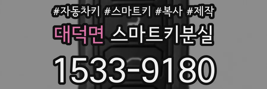 대덕면 스마트키분실