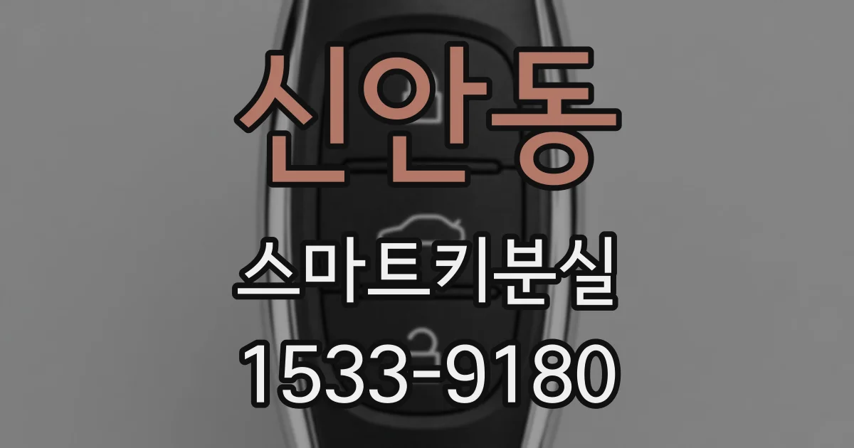 신안동 스마트키분실