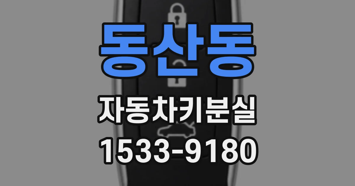 동산동 자동차키분실