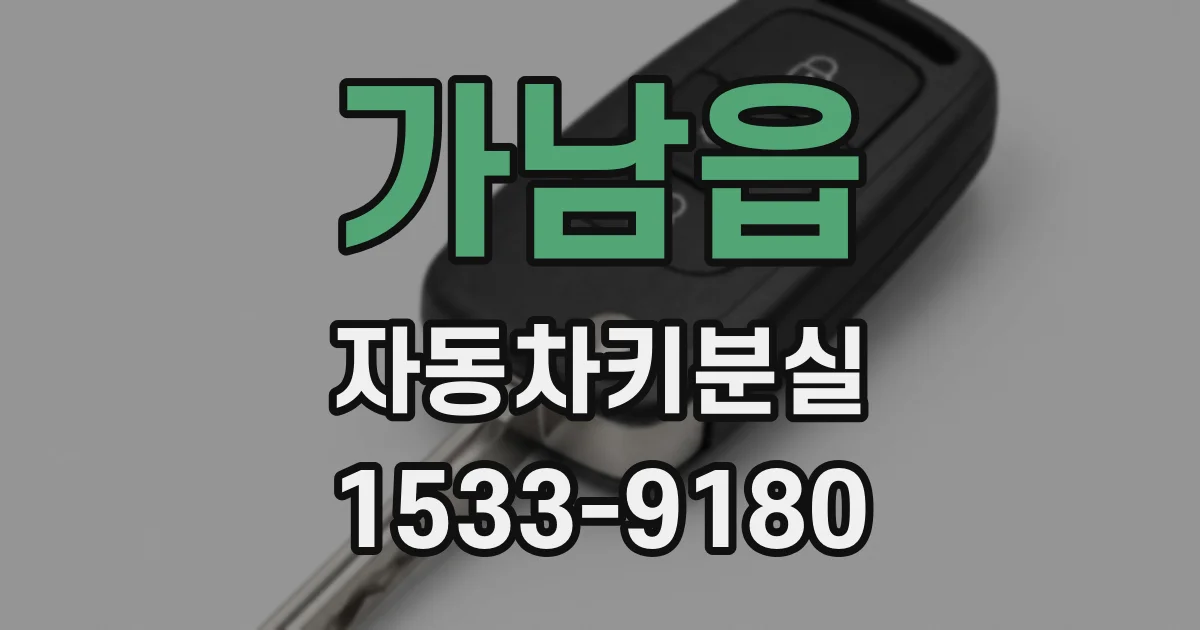 가남읍 자동차키분실