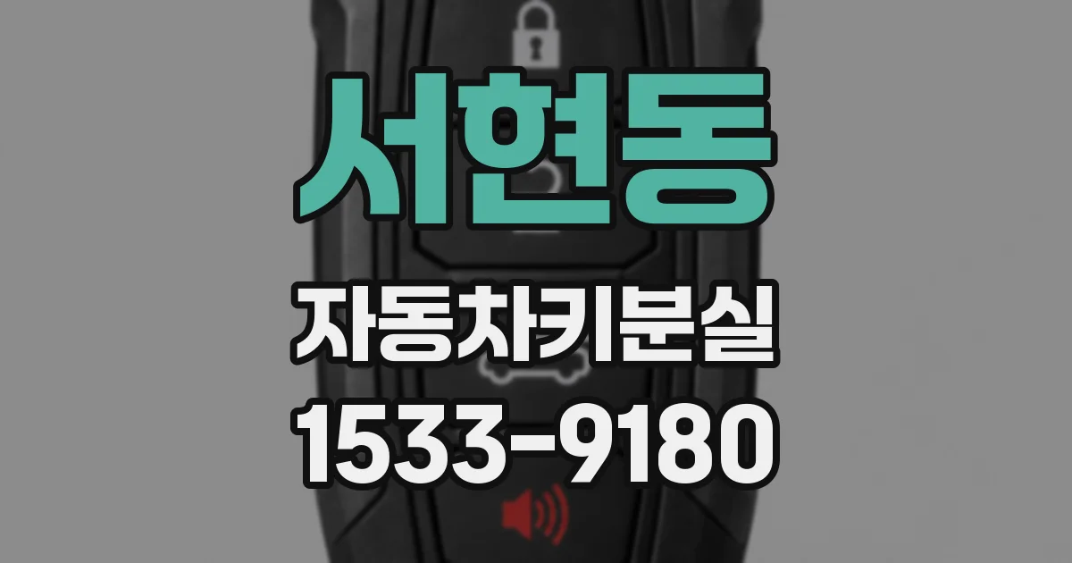 서현동 자동차키분실