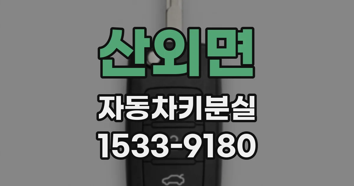 산외면 자동차키분실