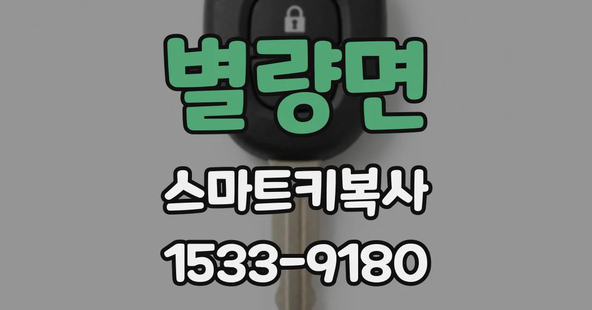 별량면 스마트키복사