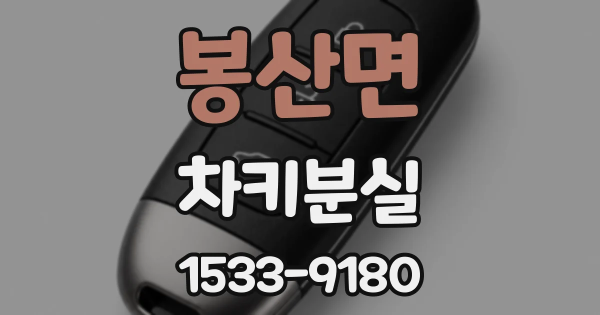 봉산면 차키분실