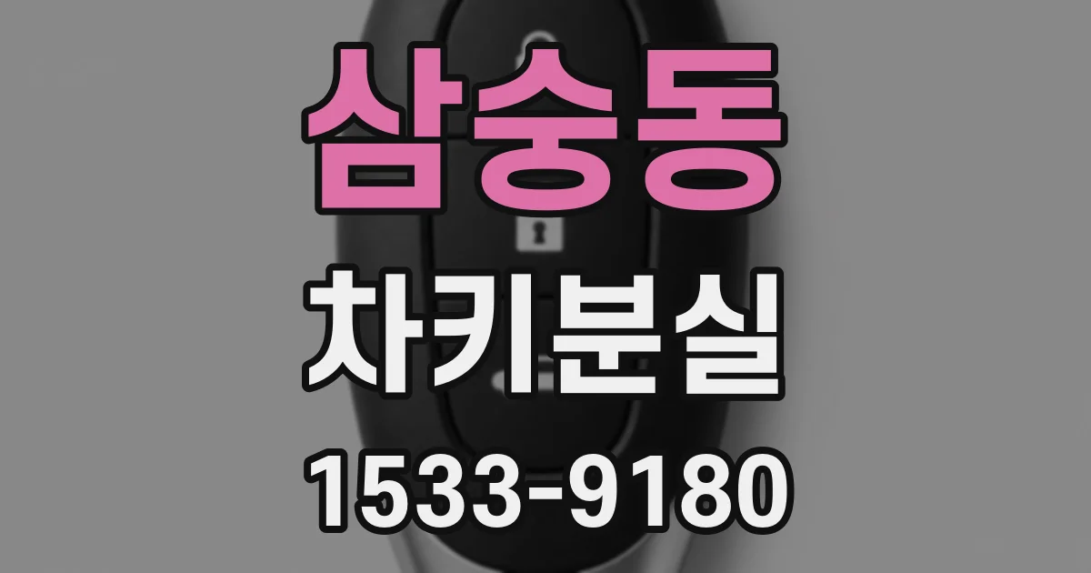 삼숭동 차키분실