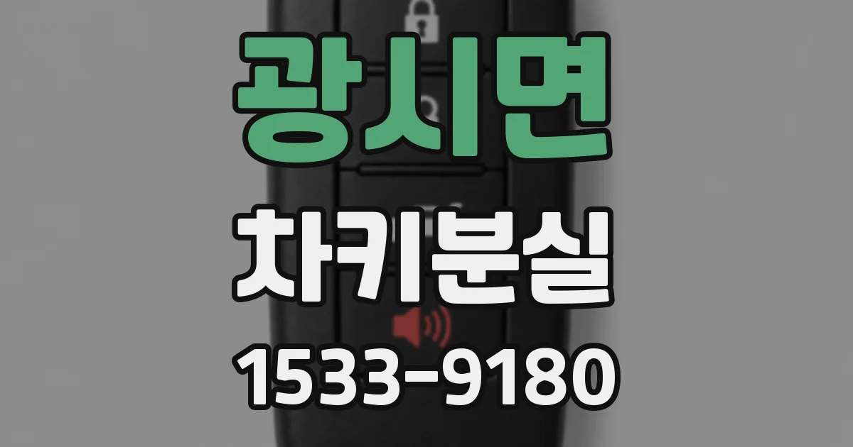 광시면 차키분실