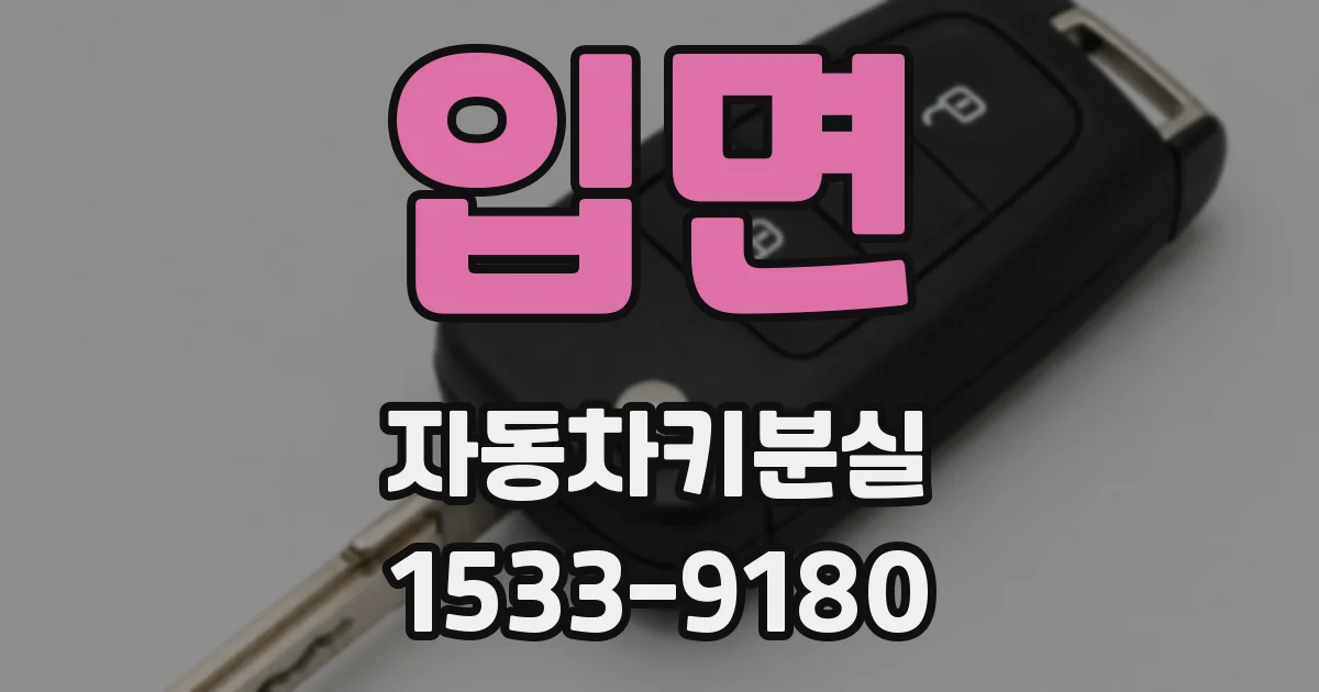 입면 자동차키분실