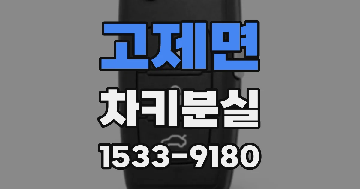 고제면 차키분실