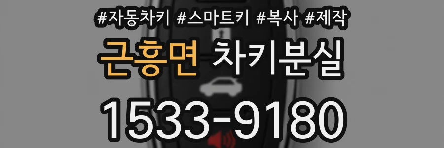 근흥면 차키분실