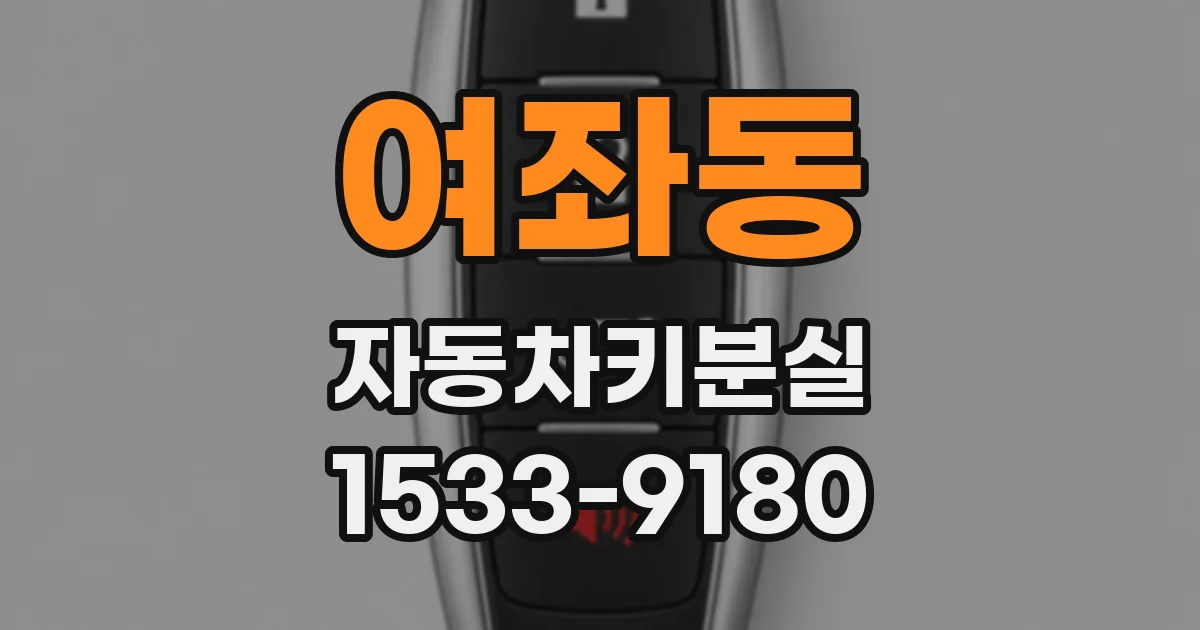 여좌동 자동차키분실