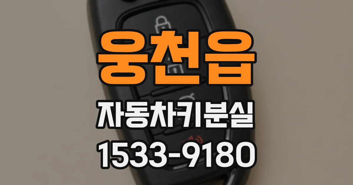 웅천읍 자동차키분실