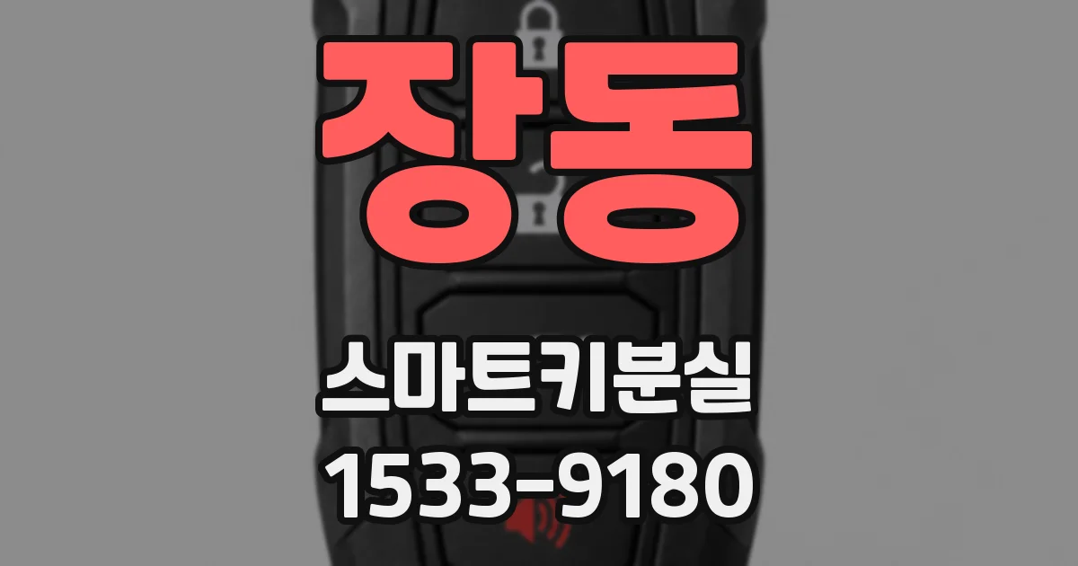 장동 스마트키분실