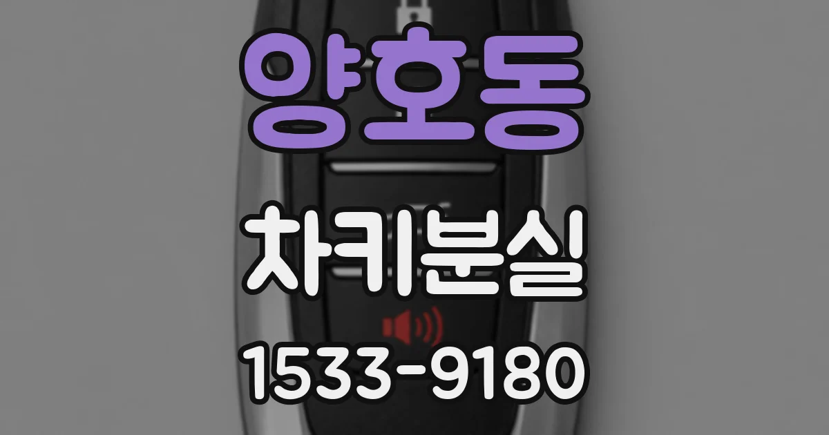 양호동 차키분실