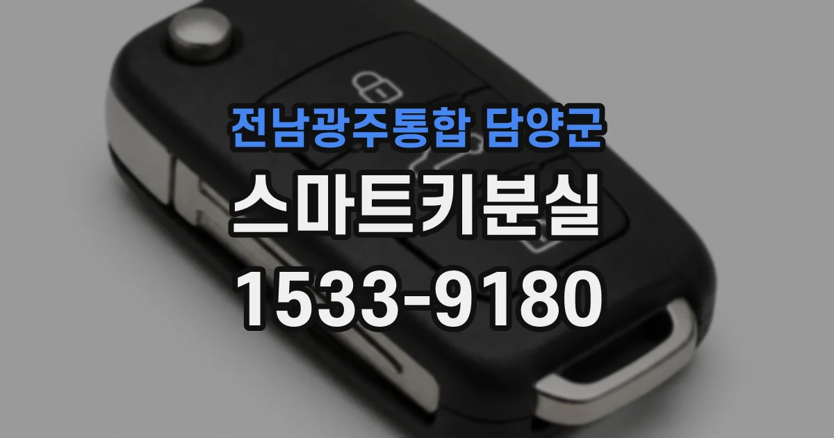 전남광주통합 담양군 스마트키분실