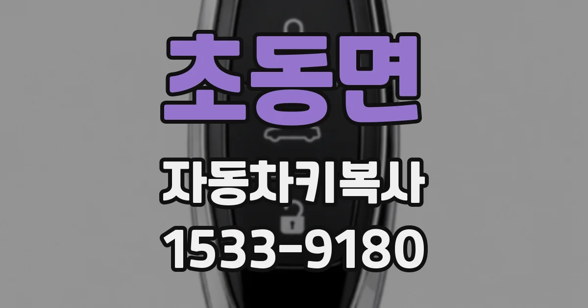 초동면 자동차키복사