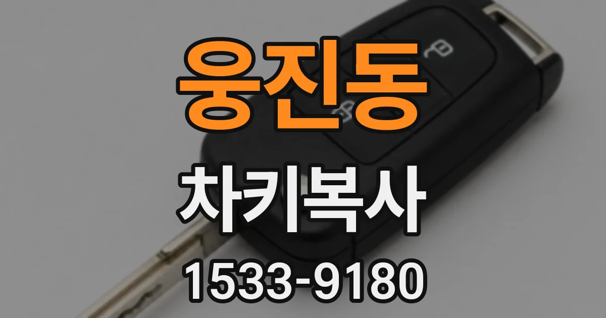 웅진동 차키복사