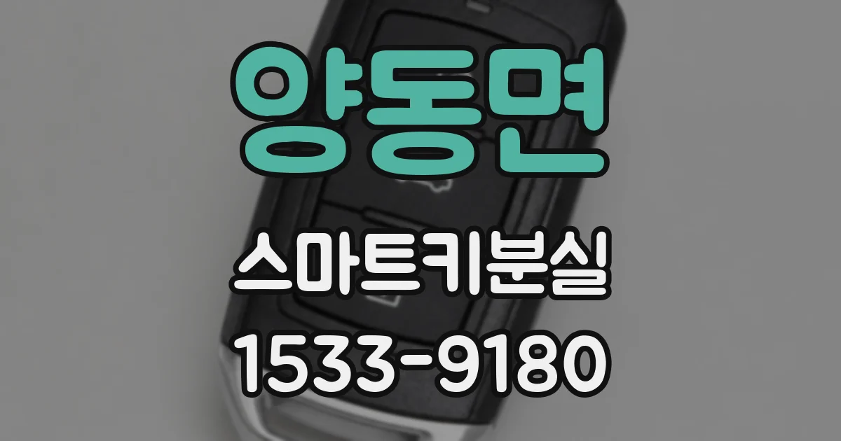 양동면 스마트키분실