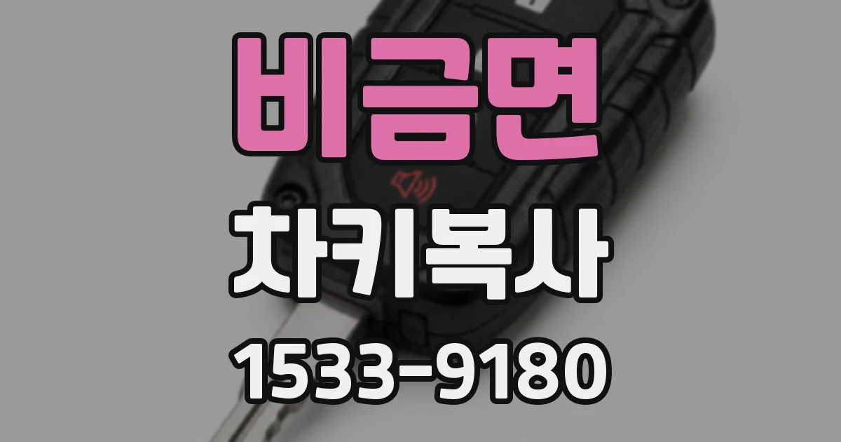 비금면 차키복사
