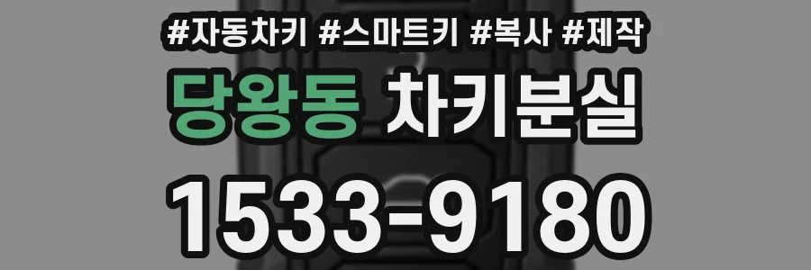 당왕동 차키분실