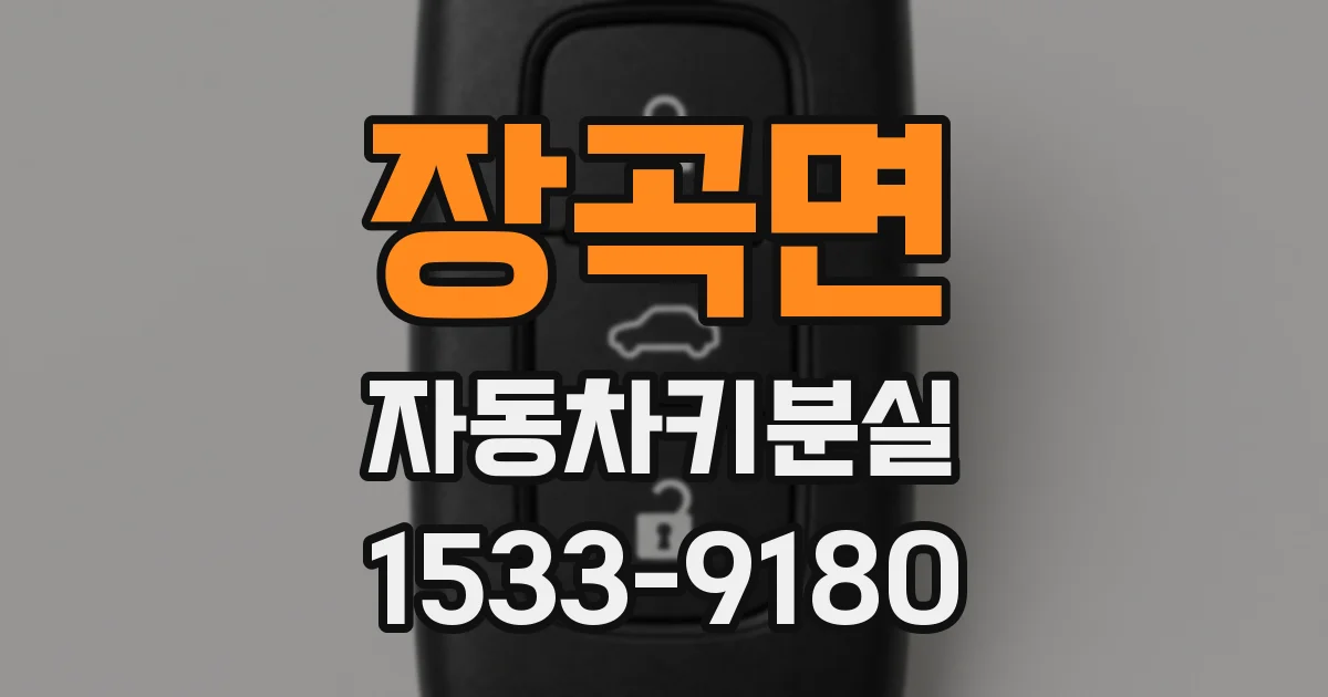 장곡면 자동차키분실