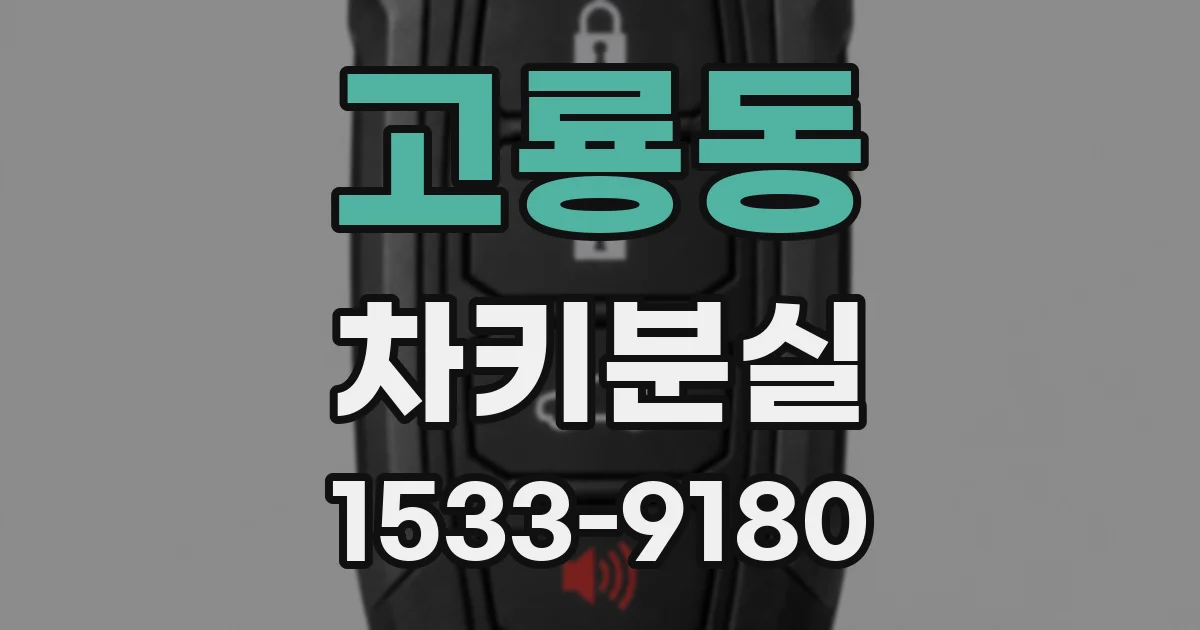 고룡동 차키분실