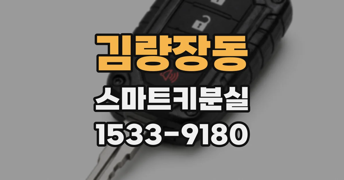 김량장동 스마트키분실