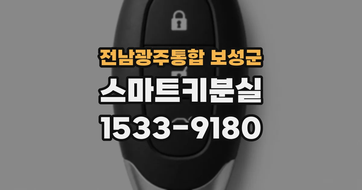 전남광주통합 보성군 스마트키분실
