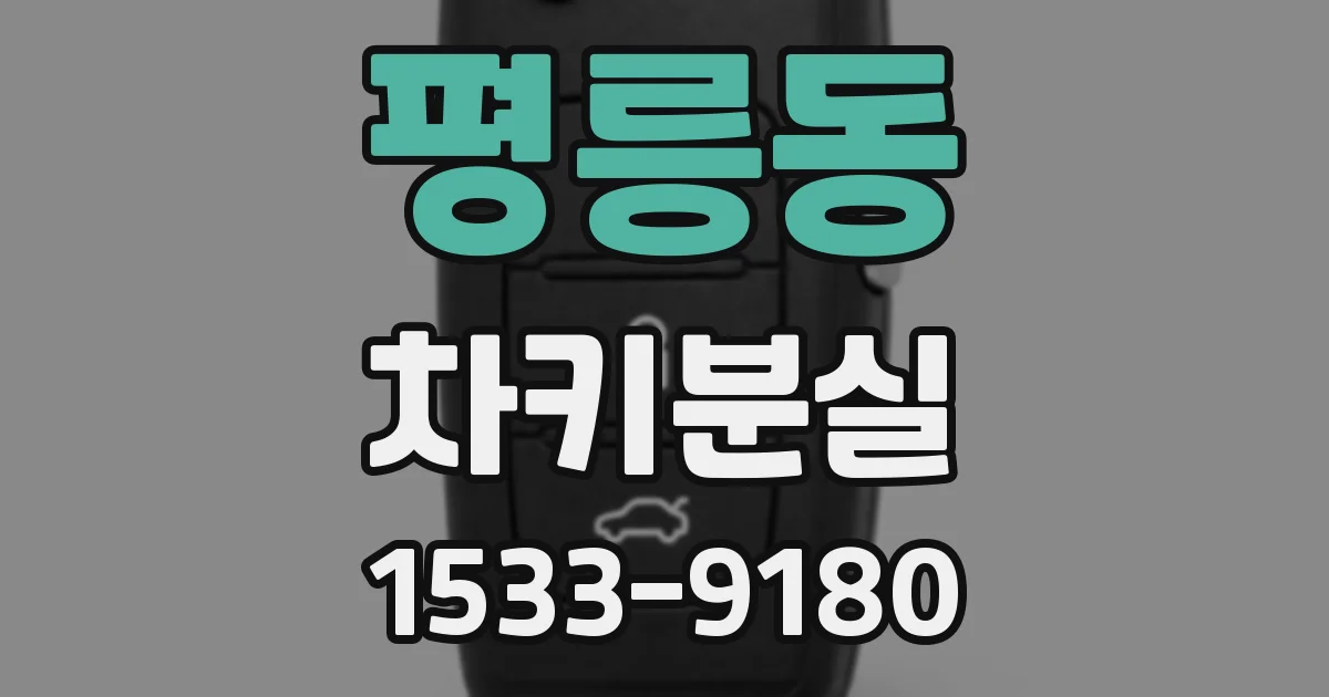 평릉동 차키분실