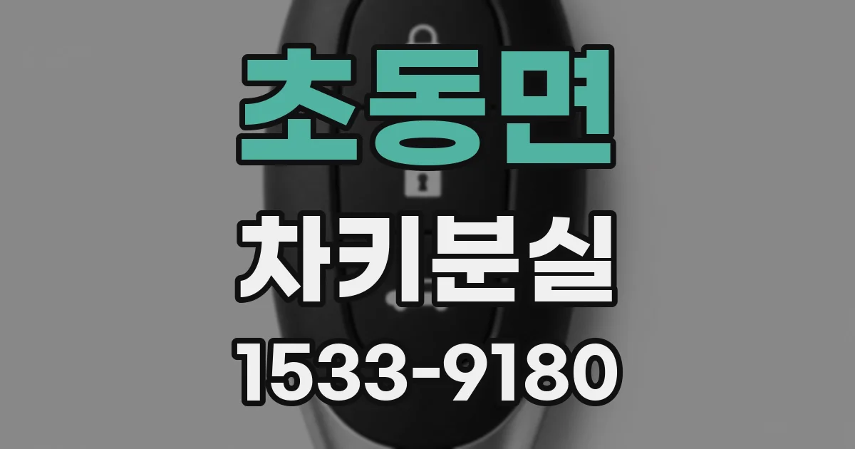 초동면 차키분실