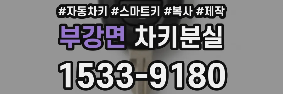 부강면 차키분실