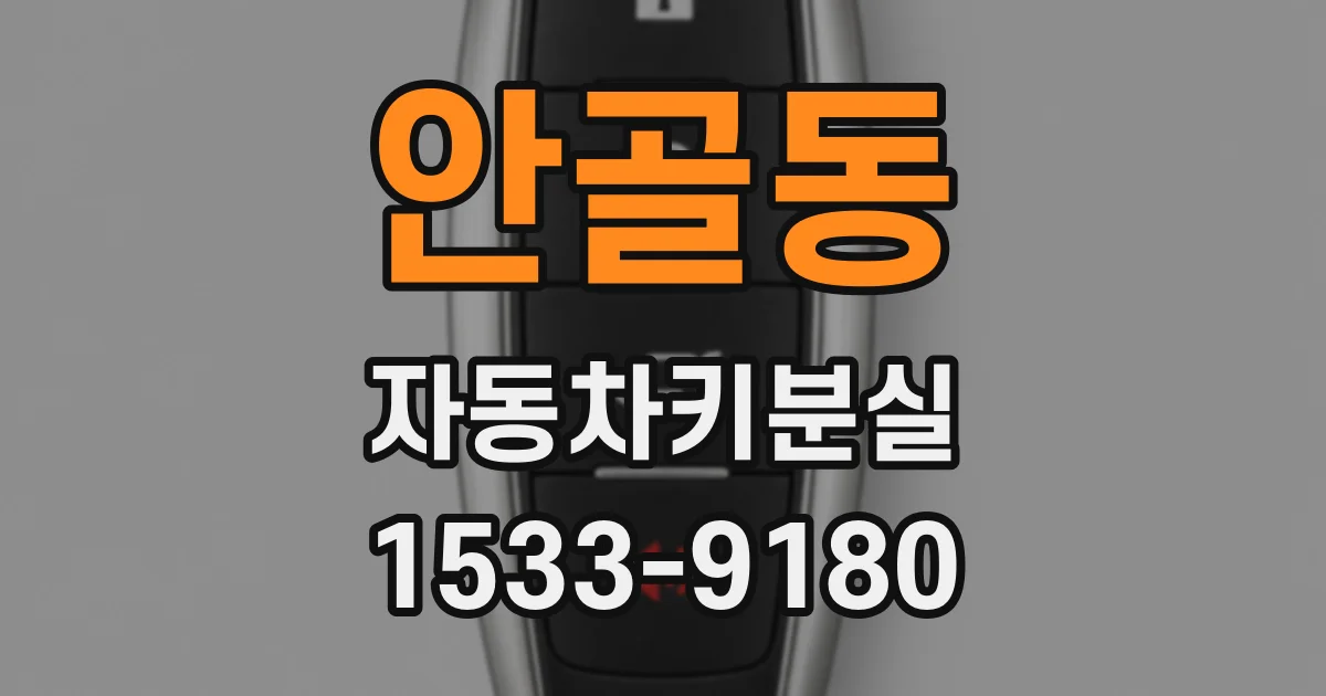안골동 자동차키분실