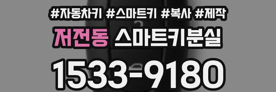 저전동 스마트키분실