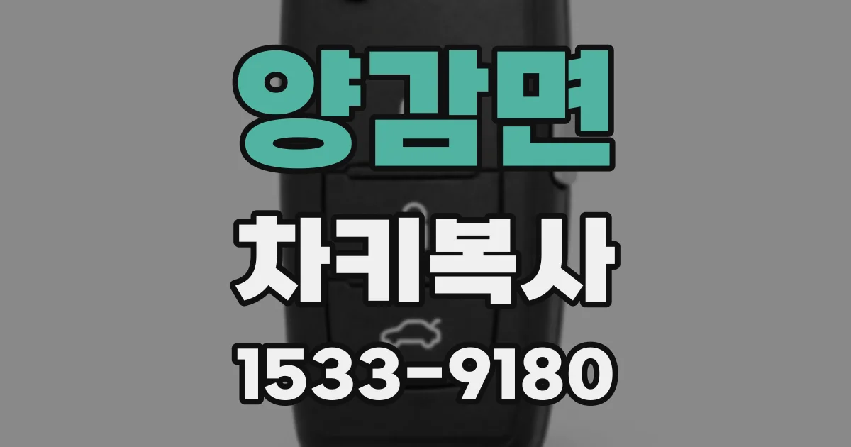 양감면 차키복사