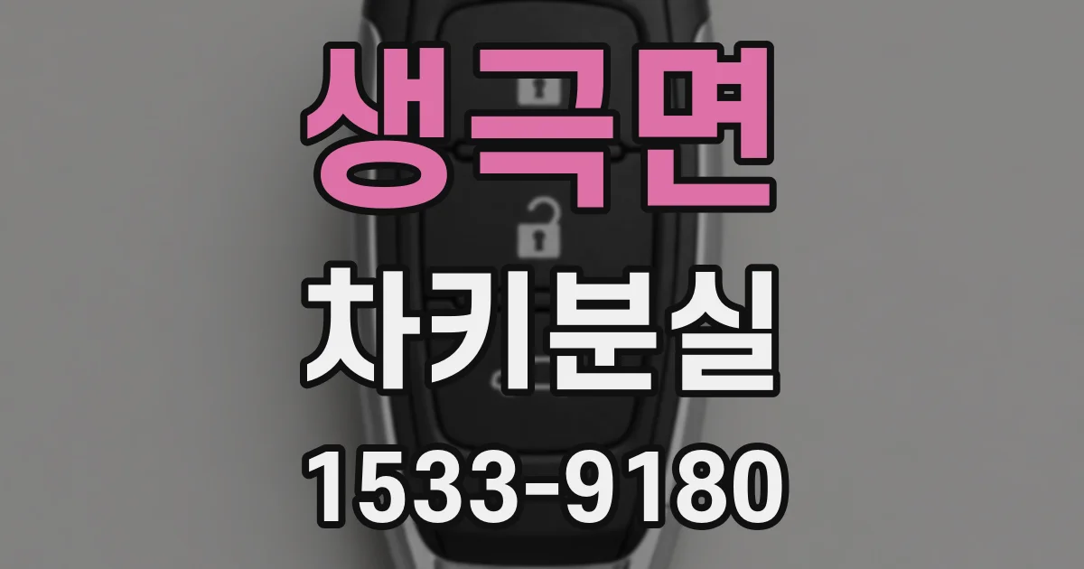 생극면 차키분실