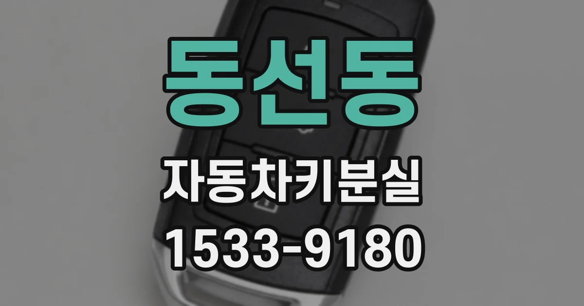 동선동 자동차키분실