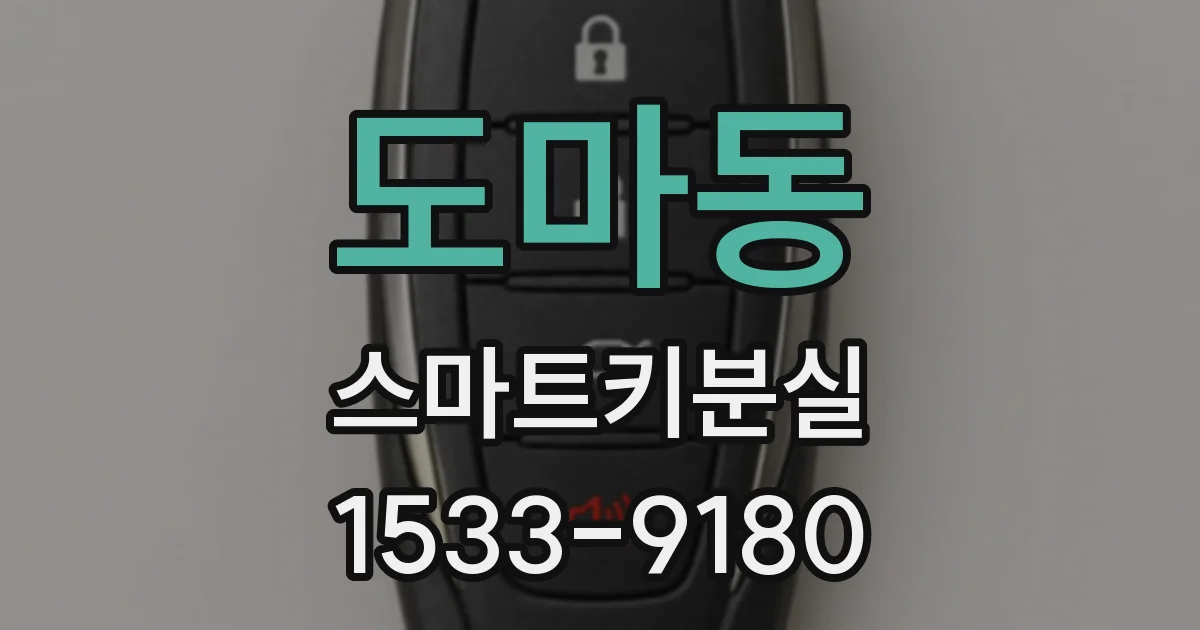 도마동 스마트키분실