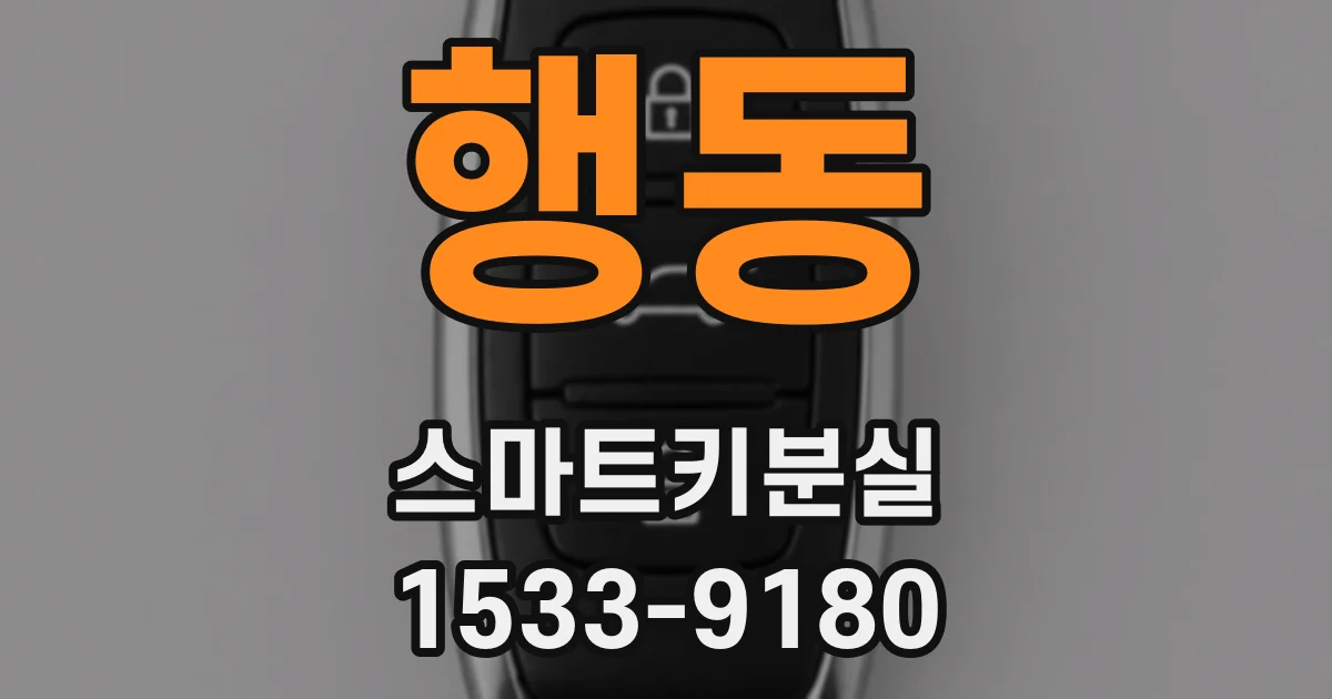 행동 스마트키분실