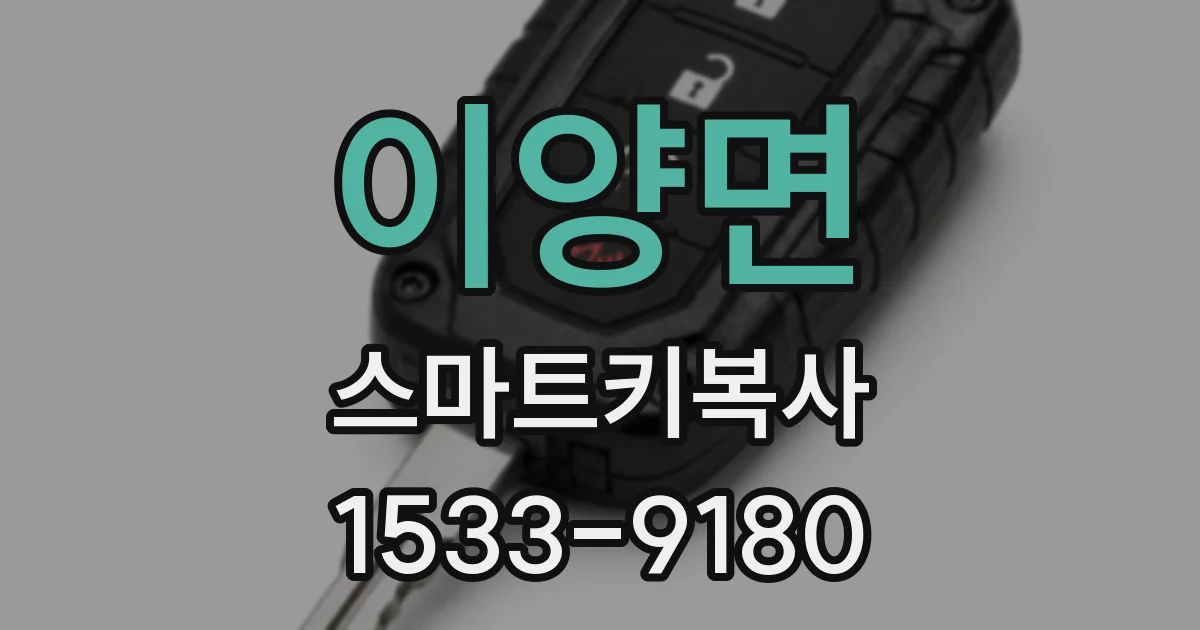 이양면 스마트키복사