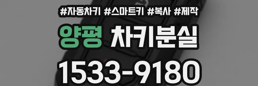 양평 차키분실