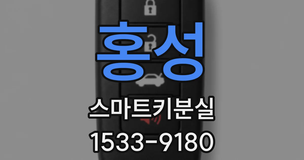 홍성 스마트키분실