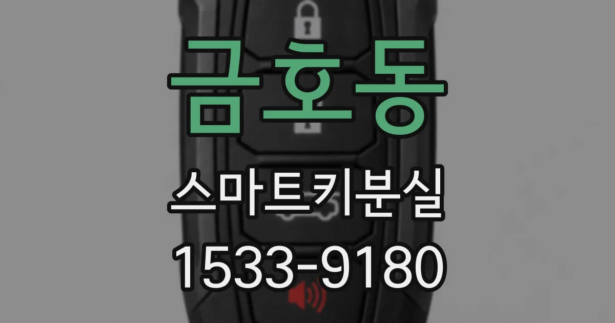 금호동 스마트키분실