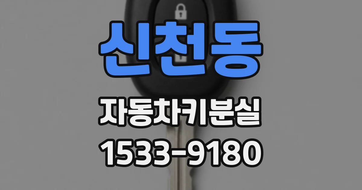 신천동 자동차키분실