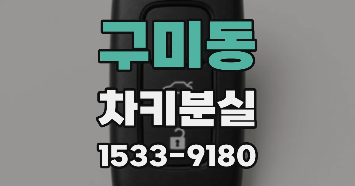 구미동 차키분실