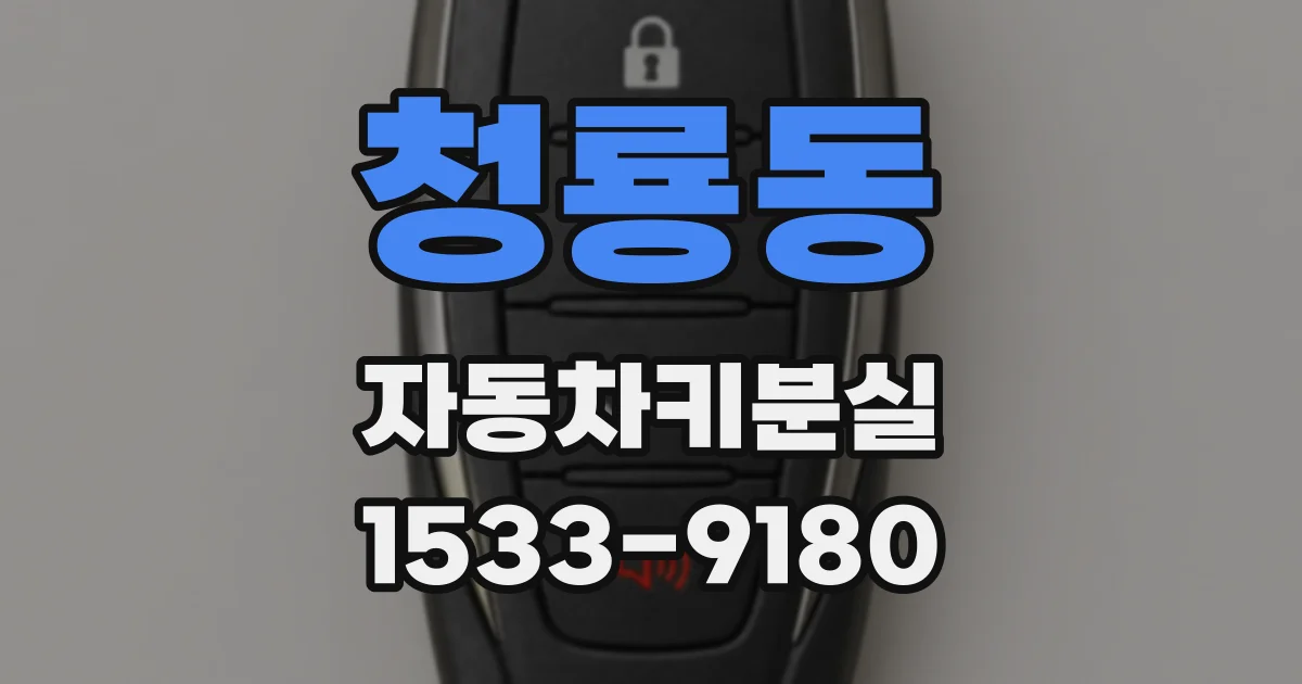 청룡동 자동차키분실