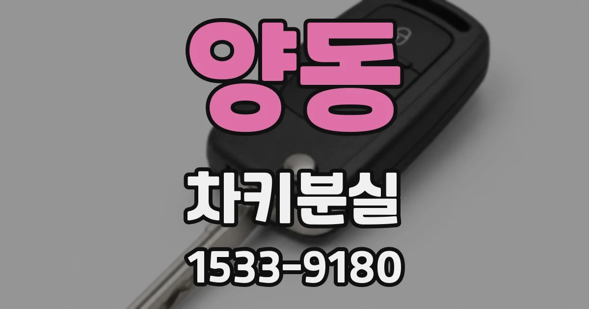 양동 차키분실