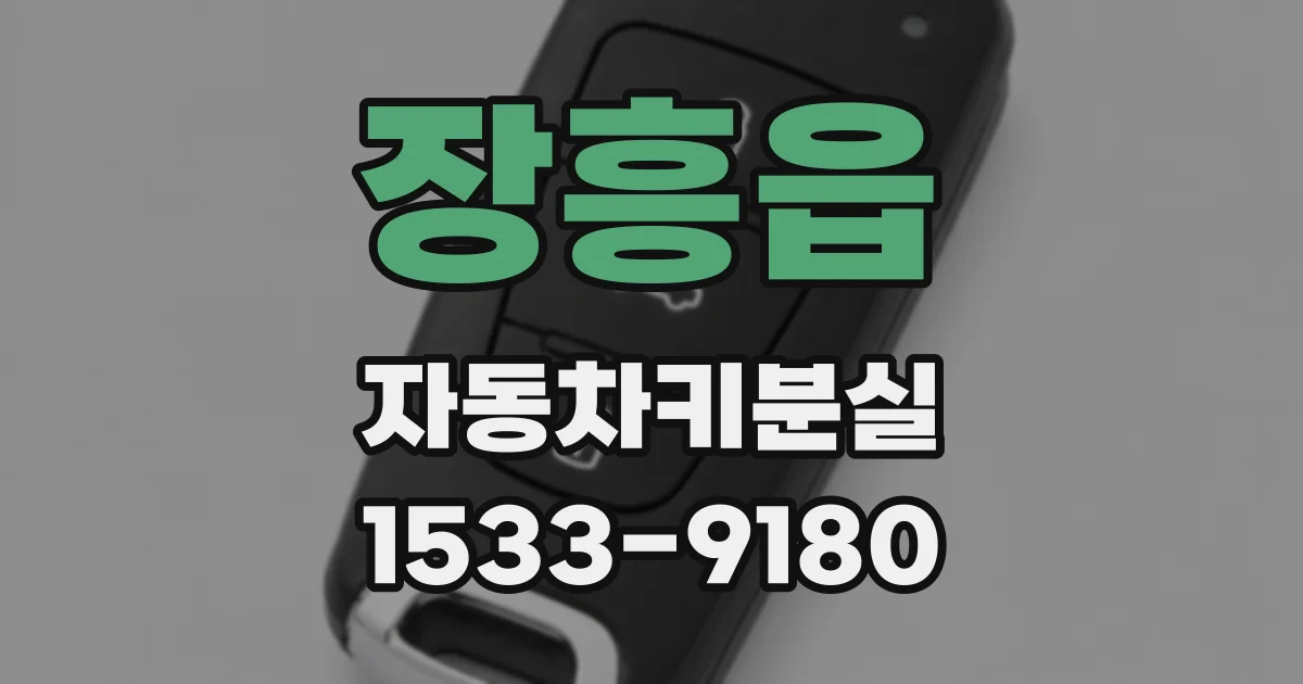 장흥읍 자동차키분실