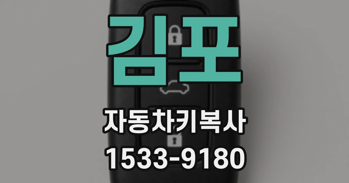 김포 자동차키복사