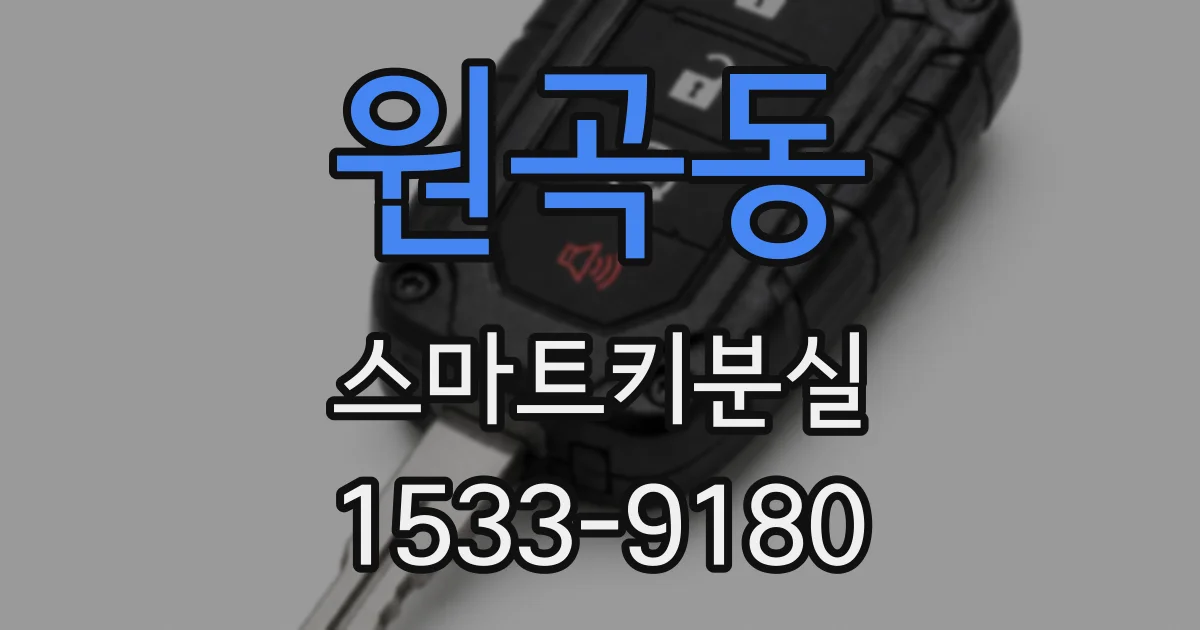 원곡동 스마트키분실